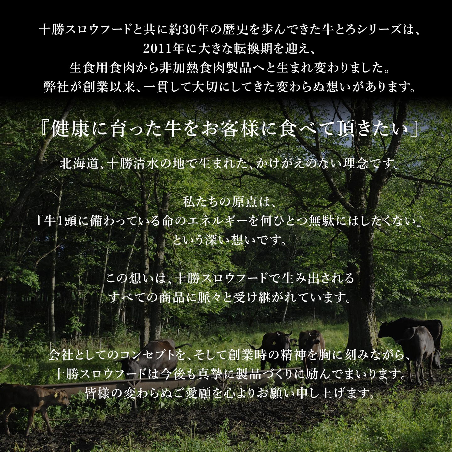 十勝スロウフード,十勝清水,非加熱食肉製品
